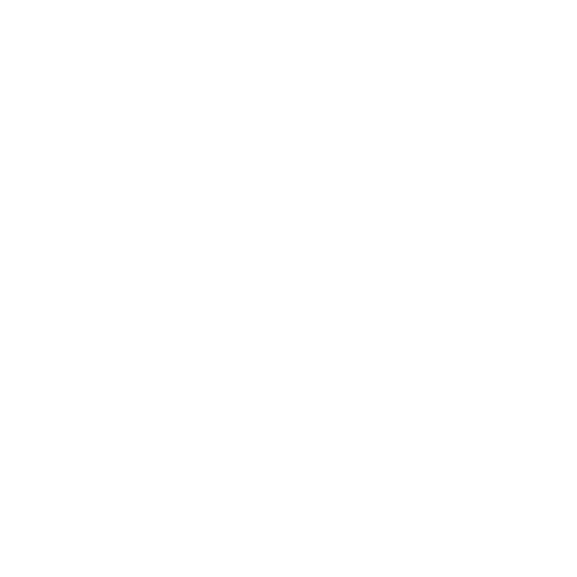 Icons Wit Koppeling Cloud QV